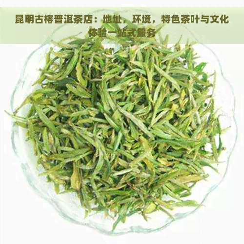 昆明古榕普洱茶店：地址，环境，特色茶叶与文化体验一站式服务