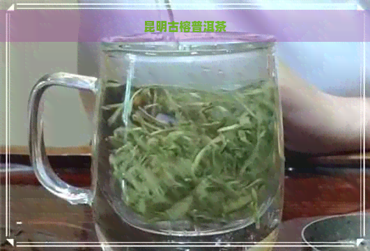 昆明古榕普洱茶