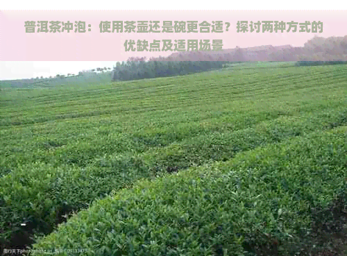 普洱茶冲泡：使用茶壶还是碗更合适？探讨两种方式的优缺点及适用场景