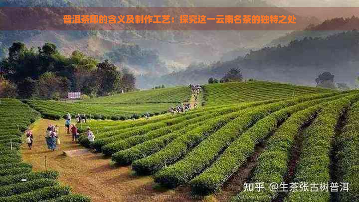 普洱茶印的含义及制作工艺：探究这一云南名茶的独特之处