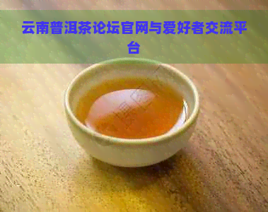 云南普洱茶论坛官网与爱好者交流平台