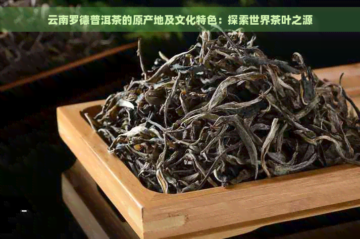 云南罗德普洱茶的原产地及文化特色：探索世界茶叶之源