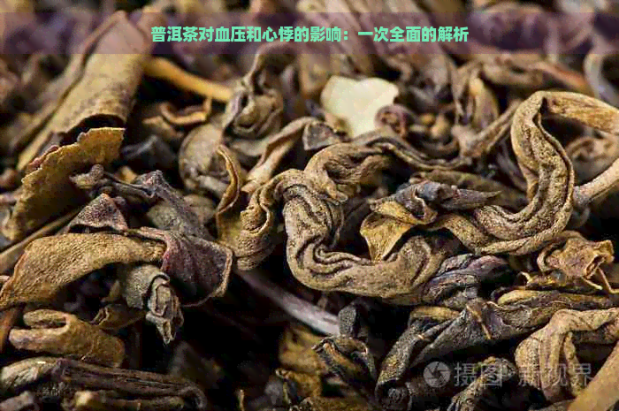 普洱茶对血压和心悸的影响：一次全面的解析