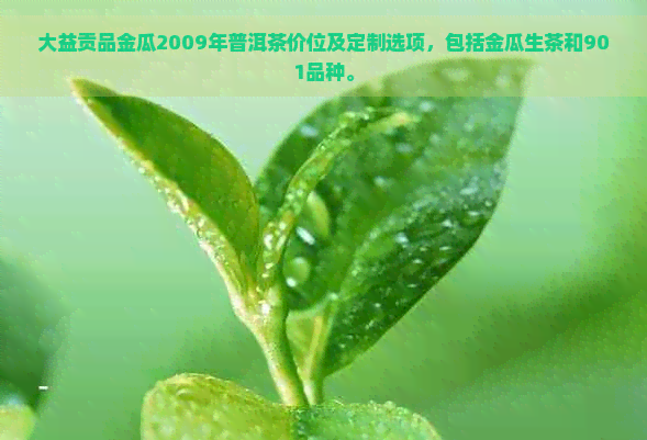 大益贡品金瓜2009年普洱茶价位及定制选项，包括金瓜生茶和901品种。