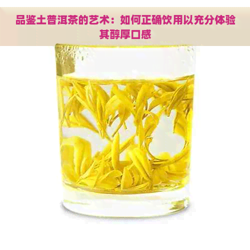 品鉴土普洱茶的艺术：如何正确饮用以充分体验其醇厚口感