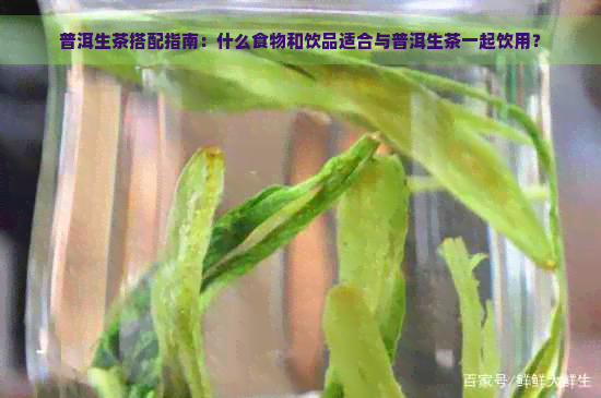 普洱生茶搭配指南：什么食物和饮品适合与普洱生茶一起饮用？