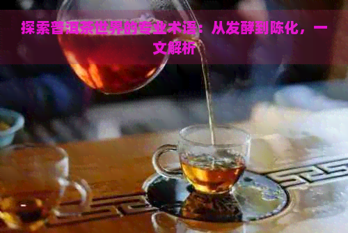 探索普洱茶世界的专业术语：从发酵到陈化，一文解析