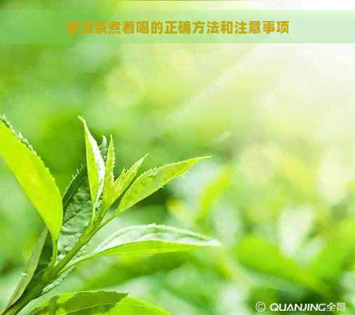 普洱茶煮着喝的正确方法和注意事项