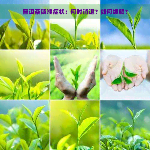 普洱茶锁喉症状：何时消退？如何缓解？