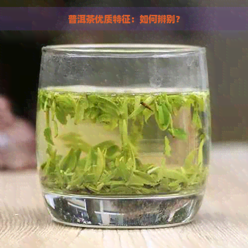 普洱茶优质特征：如何辨别？