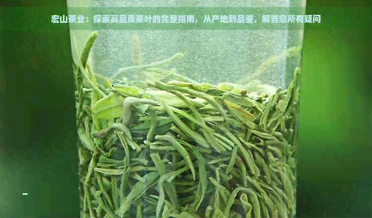 宏山茶业：探索高品质茶叶的完整指南，从产地到品鉴，解答您所有疑问