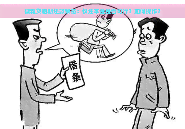 微粒贷逾期还款策略：仅还本金是否可行？如何操作？