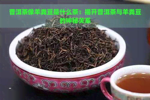 普洱茶像羊粪豆是什么茶：揭开普洱茶与羊粪豆的神秘关系