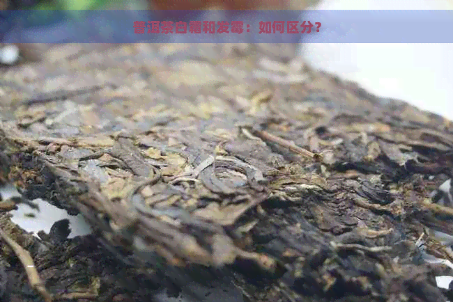 普洱茶白霜和发霉：如何区分？