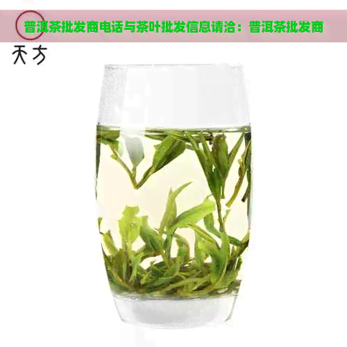 普洱茶批发商电话与茶叶批发信息请洽：普洱茶批发商