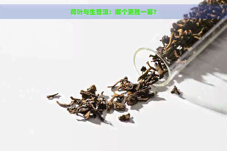 荷叶与生普洱：哪个更胜一筹？