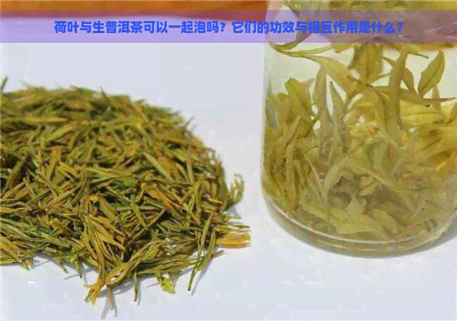 荷叶与生普洱茶可以一起泡吗？它们的功效与相互作用是什么？