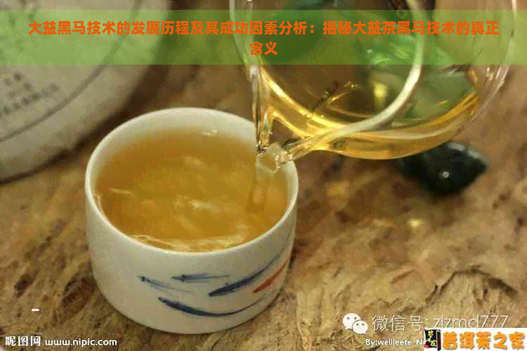 大益黑马技术的发展历程及其成功因素分析：揭秘大益茶黑马技术的真正含义