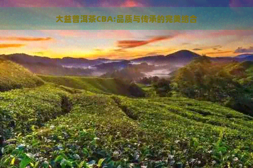 大益普洱茶CBA:品质与传承的完美结合