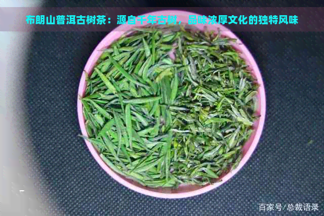 布朗山普洱古树茶：源自千年古树，品味浓厚文化的独特风味