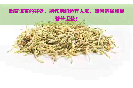 喝普洱茶的好处、副作用和适宜人群，如何选择和品鉴普洱茶？