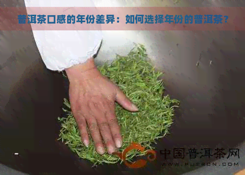 普洱茶口感的年份差异：如何选择年份的普洱茶？