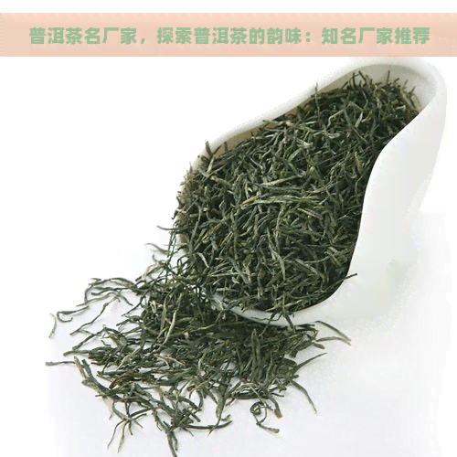 普洱茶名厂家，探索普洱茶的韵味：知名厂家推荐