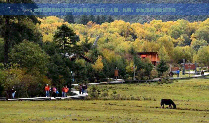 云南旅游最值得去的景点推荐：丽江、大理、昆明，必玩路线及美食攻略