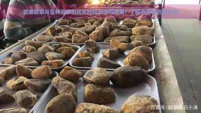 瓷底翡翠与豆种翡翠的优劣比较及选购指南：了解两者特点和价值