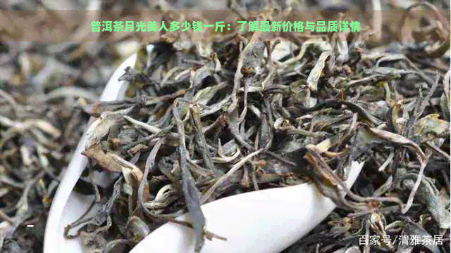 普洱茶月光美人多少钱一斤：了解最新价格与品质详情