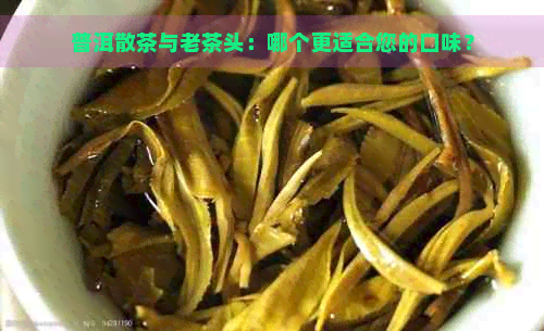 普洱散茶与老茶头：哪个更适合您的口味？