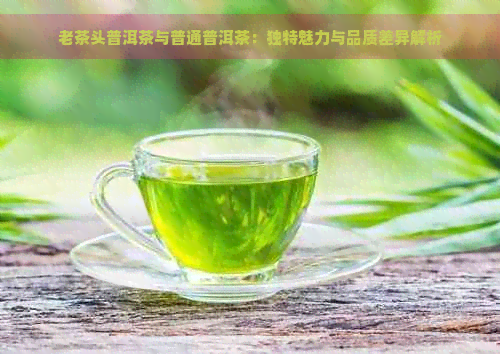 老茶头普洱茶与普通普洱茶：独特魅力与品质差异解析