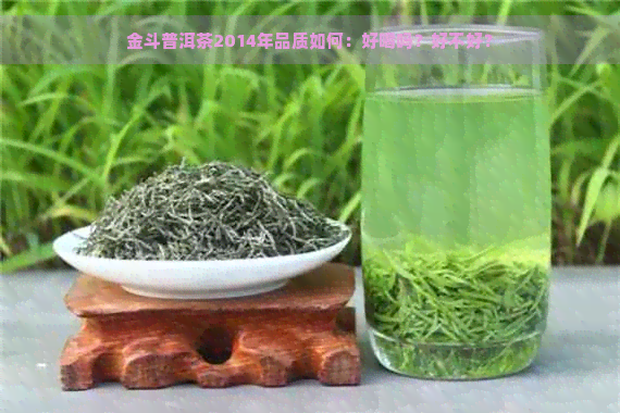 金斗普洱茶2014年品质如何：好喝吗？好不好？