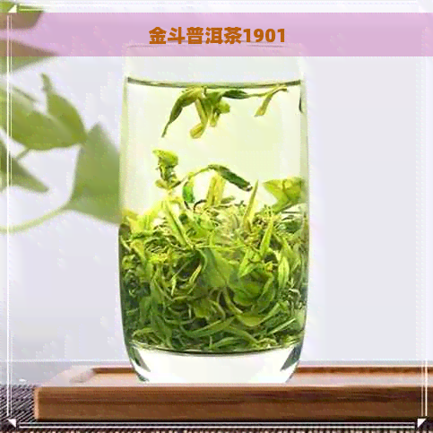 金斗普洱茶1901