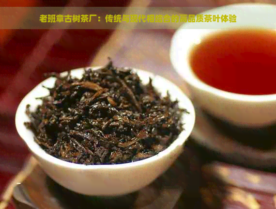 老班章古树茶厂：传统与现代相结合的高品质茶叶体验