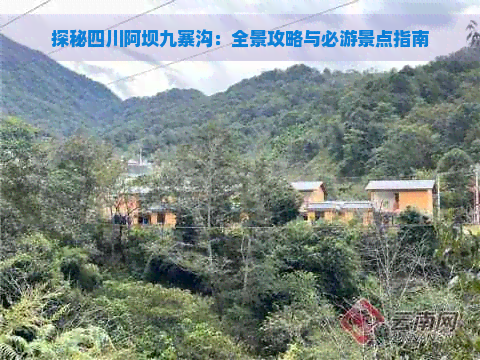 探秘四川阿坝九寨沟：全景攻略与必游景点指南