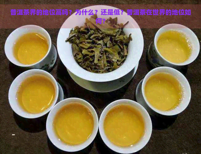 普洱茶界的地位高吗？为什么？还是低？普洱茶在世界的地位如何？