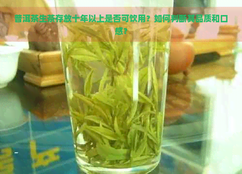 普洱茶生茶存放十年以上是否可饮用？如何判断其品质和口感？