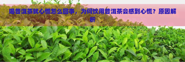 喝普洱茶就心慌怎么回事，为何饮用普洱茶会感到心慌？原因解析