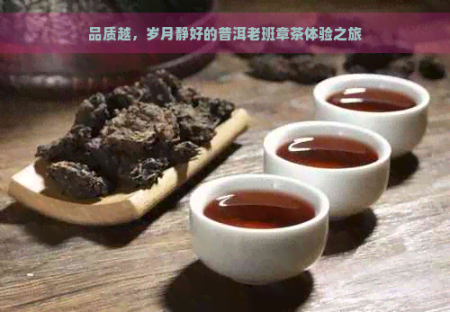 品质越，岁月静好的普洱老班章茶体验之旅