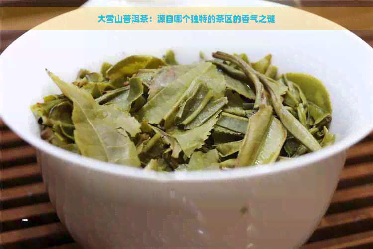 大雪山普洱茶：源自哪个独特的茶区的香气之谜