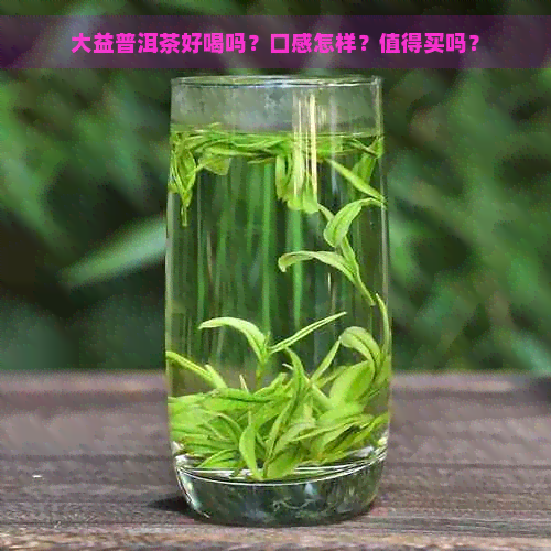 大益普洱茶好喝吗？口感怎样？值得买吗？