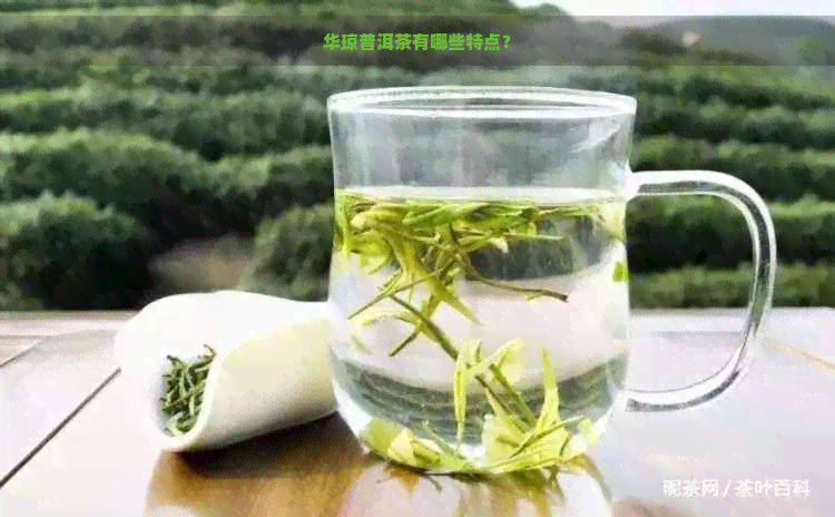 华琼普洱茶有哪些特点？