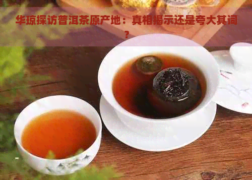 华琼探访普洱茶原产地：真相揭示还是夸大其词？