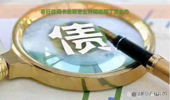 农行信用卡逾期怎么办呢逾期了怎么办