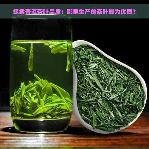 探索普洱茶叶品质：哪里生产的茶叶最为优质？