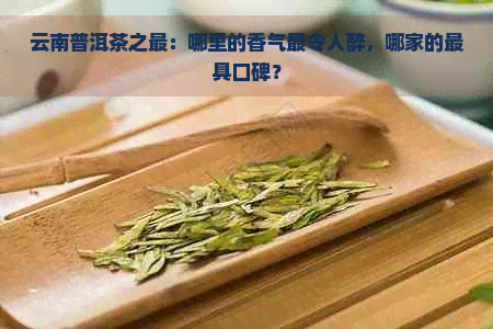 云南普洱茶之最：哪里的香气最令人醉，哪家的更具口碑？