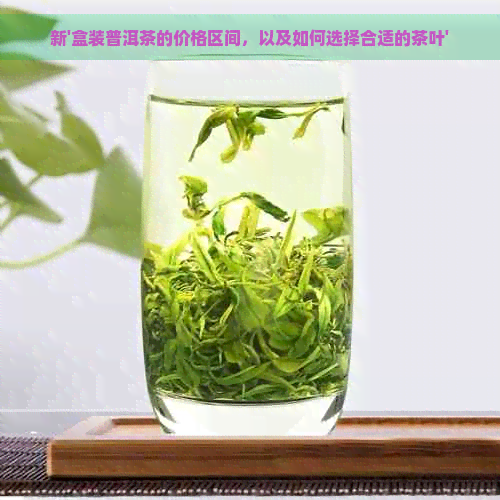 新'盒装普洱茶的价格区间，以及如何选择合适的茶叶'