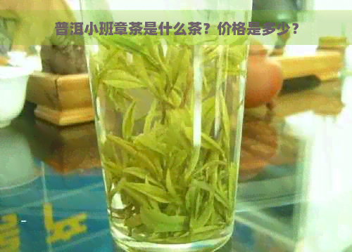 普洱小班章茶是什么茶？价格是多少？