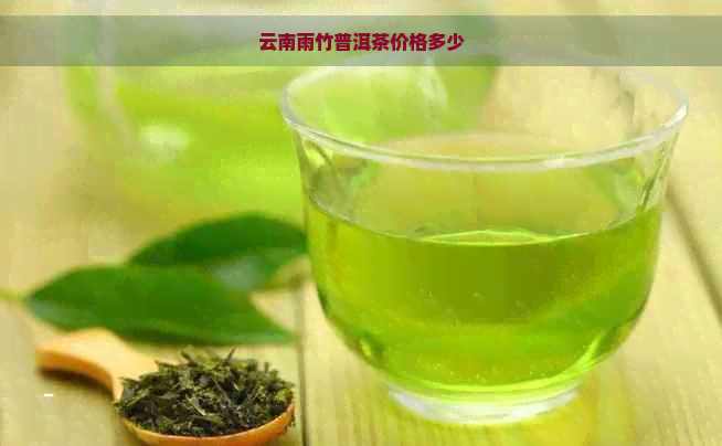 云南雨竹普洱茶价格多少